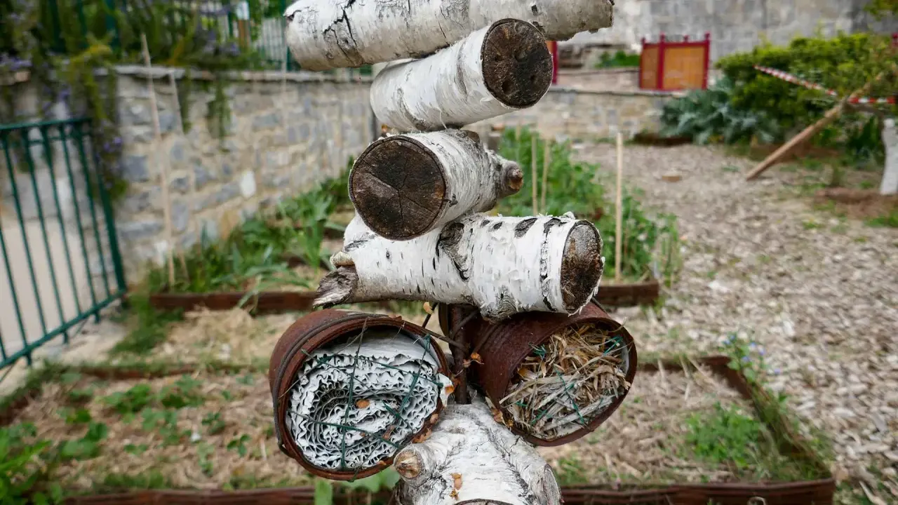 Un hôtel à insectes fait maison, avec des troncs de bouleau et des boîtes rouillées remplies de matériaux naturels pour abriter les petites bêtes.