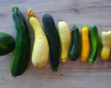 Belle récolte de courgettes de différentes couleurs et formes, un bel exemple d'association courgette potager.