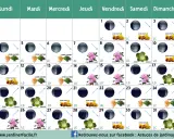 Calendrier lunaire mai : phases lunaires et indications pour semer fruits, légumes racines, feuilles et fleurs.