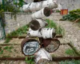 Un hôtel à insectes fait maison, avec des troncs de bouleau et des boîtes rouillées remplies de matériaux naturels pour abriter les petites bêtes.