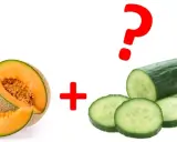 Melon et concombre, une association potager surprenante ? Un point d'interrogation rouge suggère le mystère.