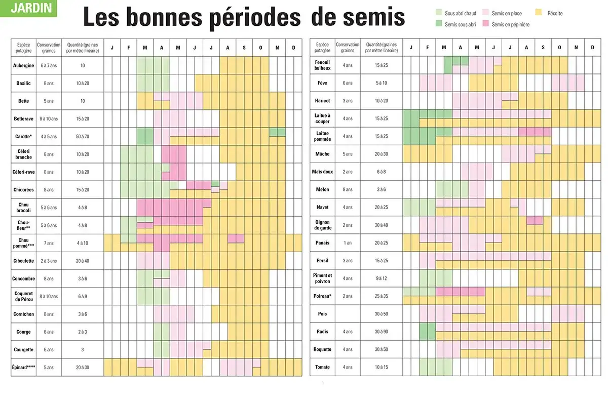 Calendrier des semis pour jardiner avec la lune 2025 : Semis en place, sous abri, en pépinière et récoltes pour divers légumes.