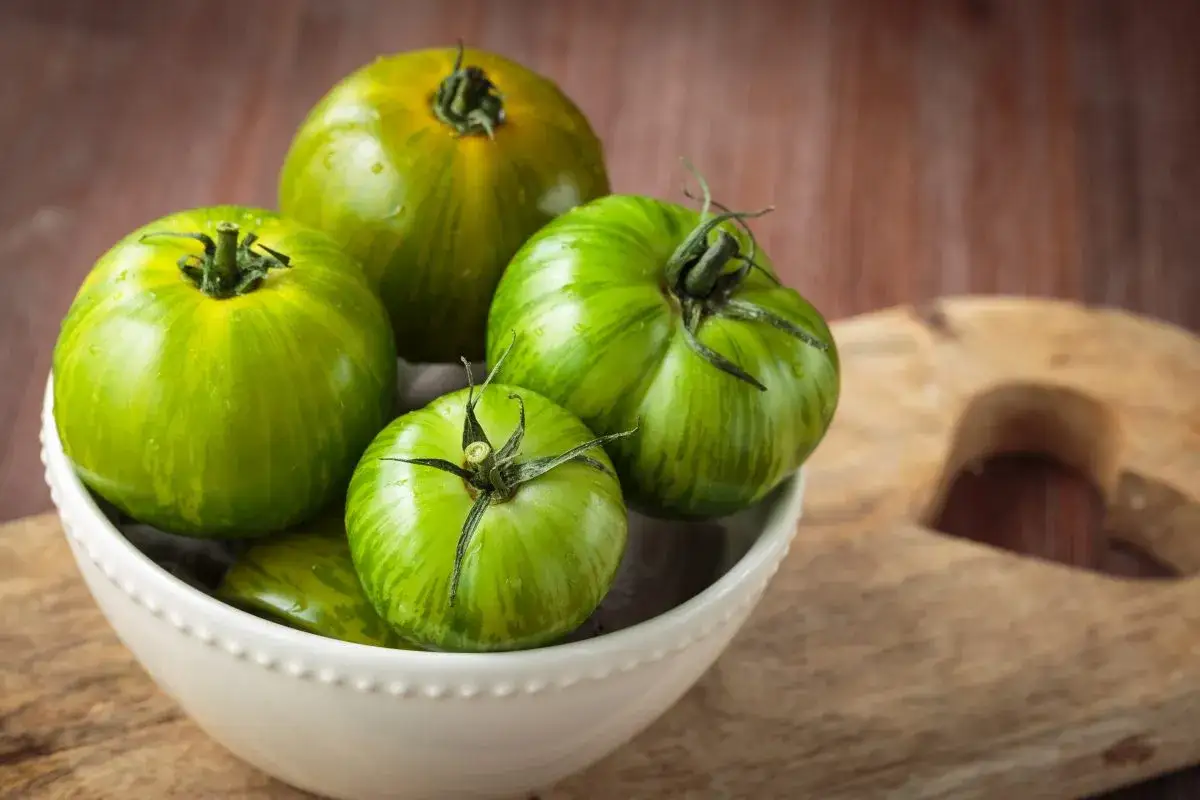 Un bol de tomates vertes zébrées, prêtes à être dégustées. Attention, le danger de la tomate verte est qu'elle est encore trop acide !