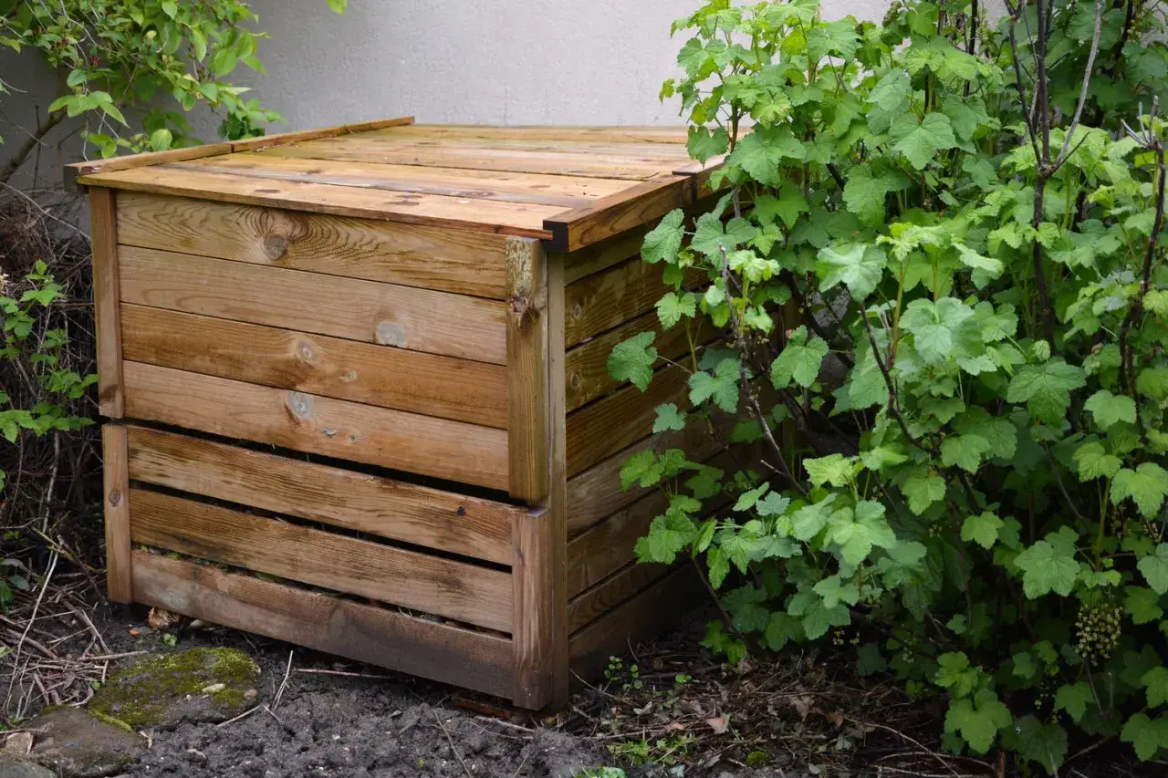 Un composteur en bois, idéal pour fabriquer son propre compost. Il est entouré de végétation luxuriante.