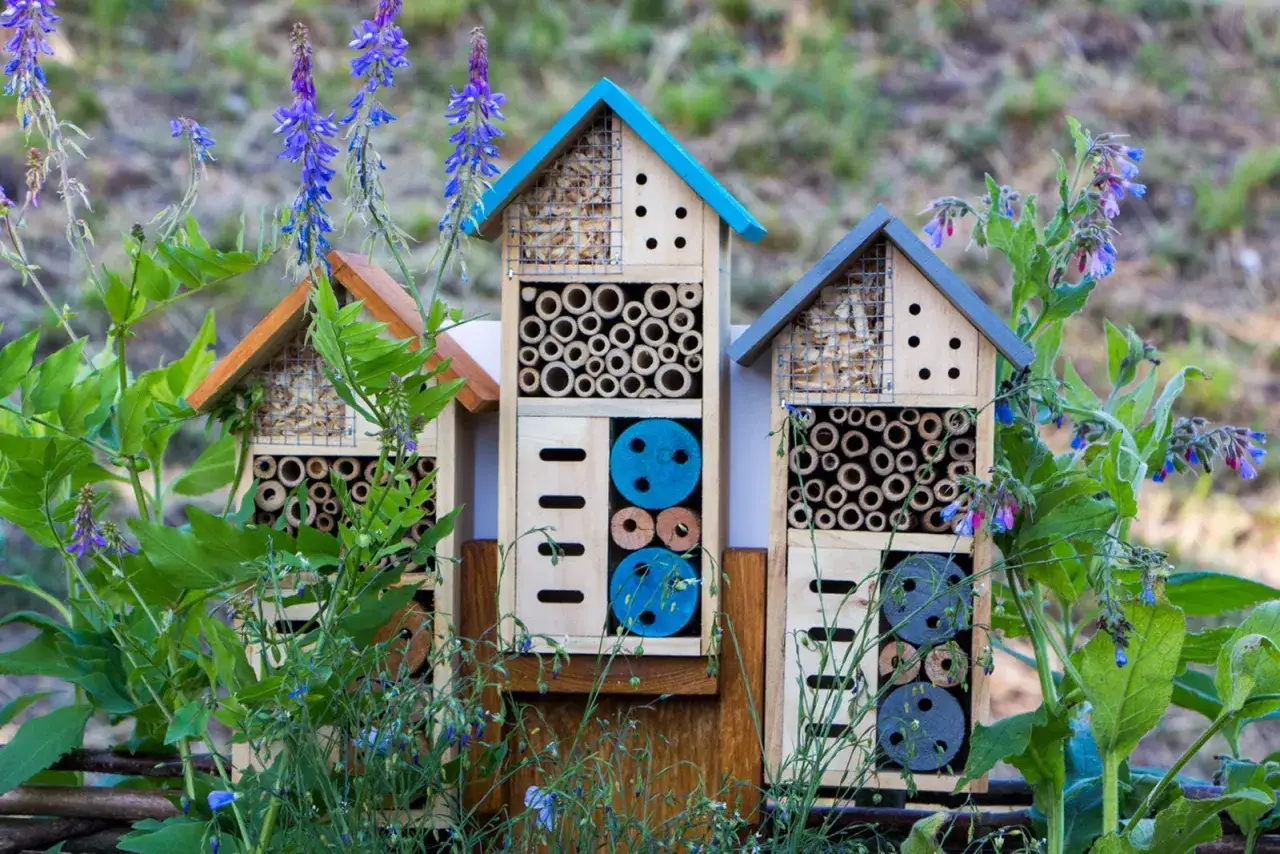 Trois hôtels à insectes en bois, remplis de bambous et de cônes, sont installés dans un jardin fleuri. Idéal pour fabriquer un hôtel à insecte.