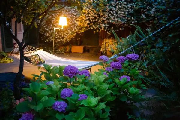 Jardin de nuit illuminé, avec un hamac, des hortensias violets et des lumières douces. Idéal pour jardiner avec la lune 2025.